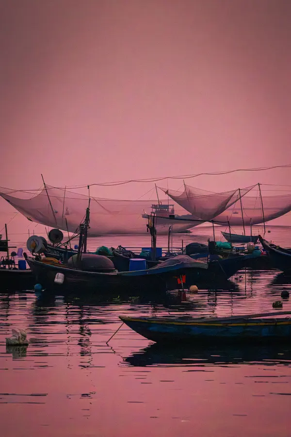 Vietnam